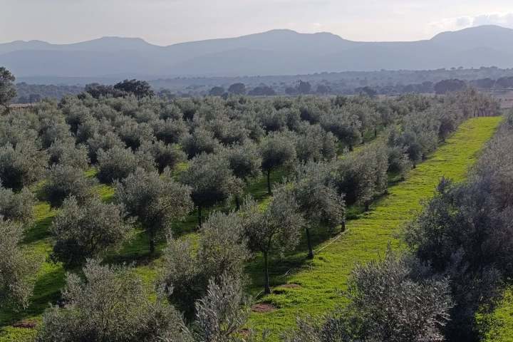 Extremadura A Day On The Farm Experience