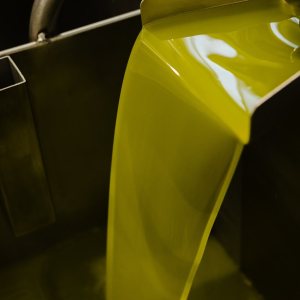 Madridejos EVOO Visit Experience