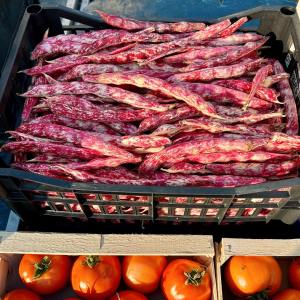 Nice Market Tour & Cooking Class Experience