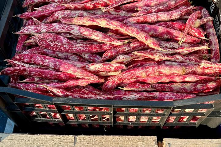 Nice Market Tour & Cooking Class Experience