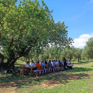 Mallorca Visit & Tasting Experience