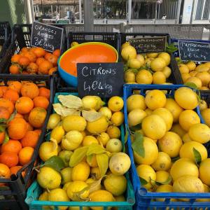 Nice Market Tour & Cooking Class Experience