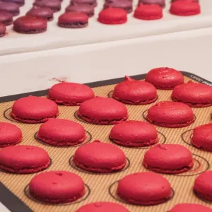 Paris Pasterie & Bread Experience