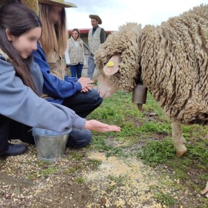 Extremadura A Day On The Farm Experience