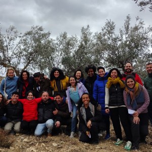 Aragon Olive Oil Visit & Tasting Experience