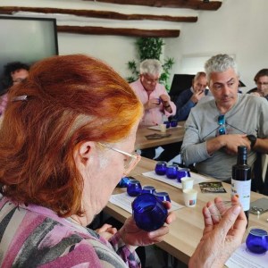 Aragon Olive Oil Visit & Tasting Experience