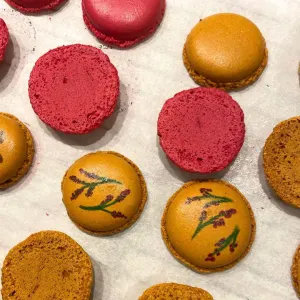 Paris Pasterie & Bread Experience