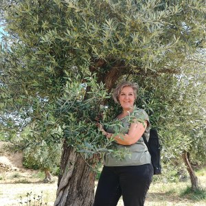 Aragon Olive Oil Visit & Tasting Experience