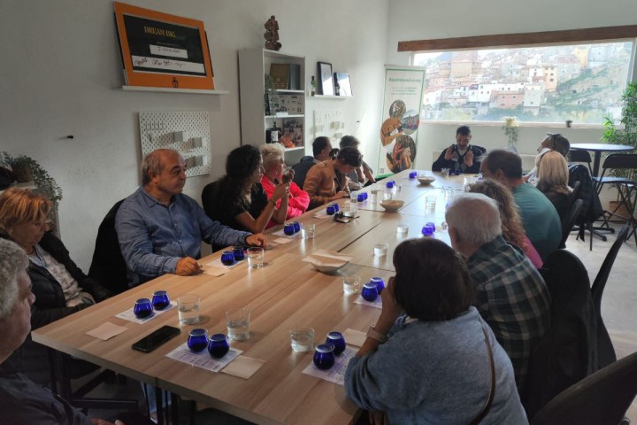 Aragon Olive Oil Visit & Tasting Experience