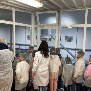 Madridejos EVOO Visit Experience