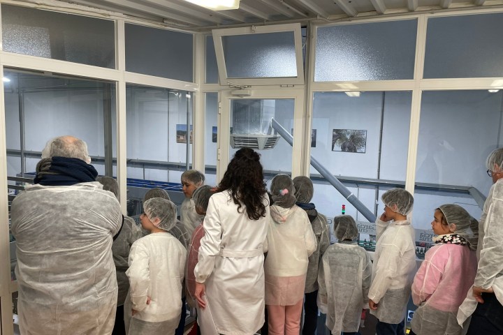 Madridejos EVOO Visit Experience