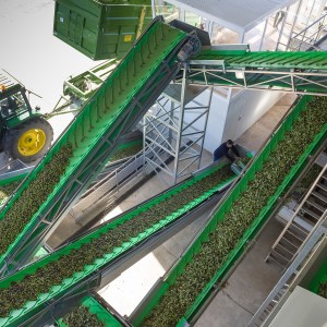 Madridejos EVOO Visit Experience