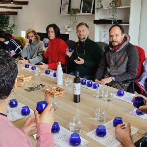Aragon Olive Oil Visit & Tasting Experience