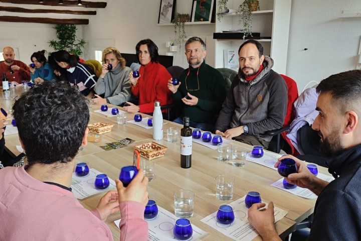 Aragon Olive Oil Visit & Tasting Experience