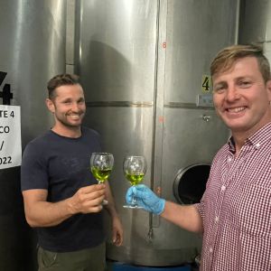 Ciudad Real Olive Oil Tour & Tasting Experience