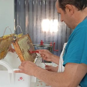 Man in blue shirt harvesting honey with tool from wooden frame indoors.