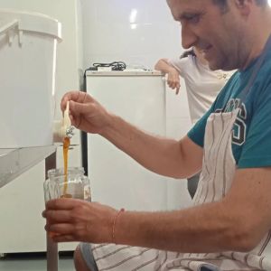 Extremadura Beekeeping Experience