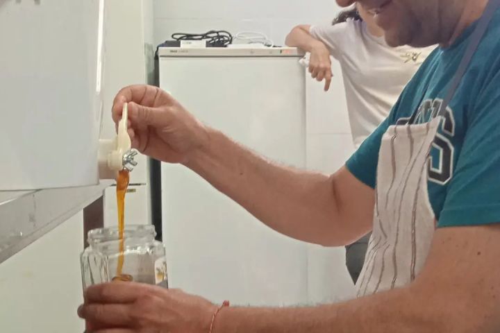 Extremadura Beekeeping Experience