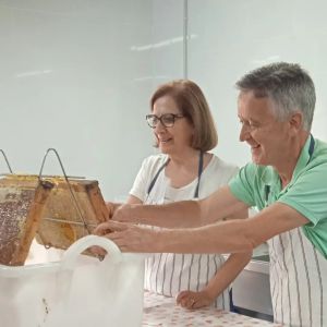 Extremadura Beekeeping Experience