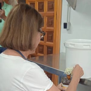 Extremadura Beekeeping Experience