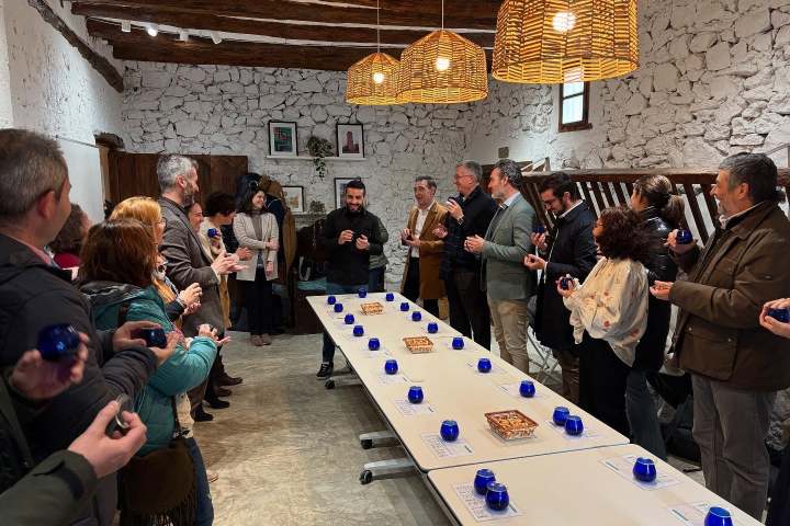 Aragon Olive Oil Visit & Tasting Experience