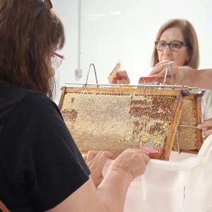 Extremadura Beekeeping Experience