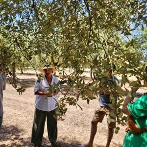 Mallorca Visit & Tasting Experience