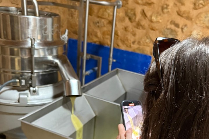 Mallorca Visit & Tasting Experience