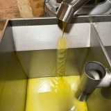 Mallorca Visit & Tasting Experience