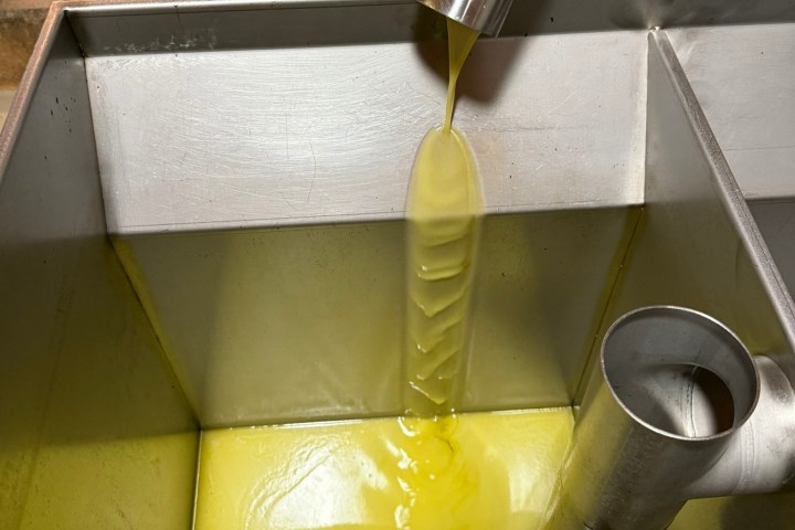 Mallorca Visit & Tasting Experience