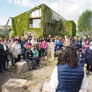 Navarra Guided Tour & Olive Oil Tasting Experience