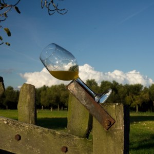 Mallorca Visit & Tasting Experience