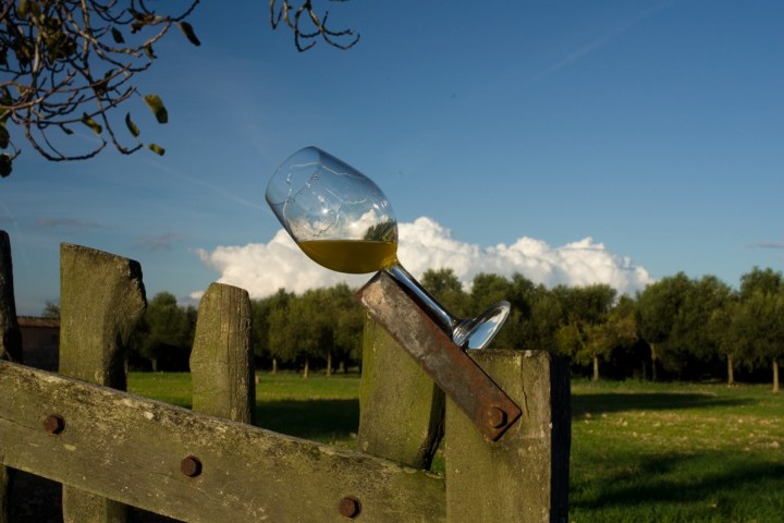 Mallorca Visit & Tasting Experience