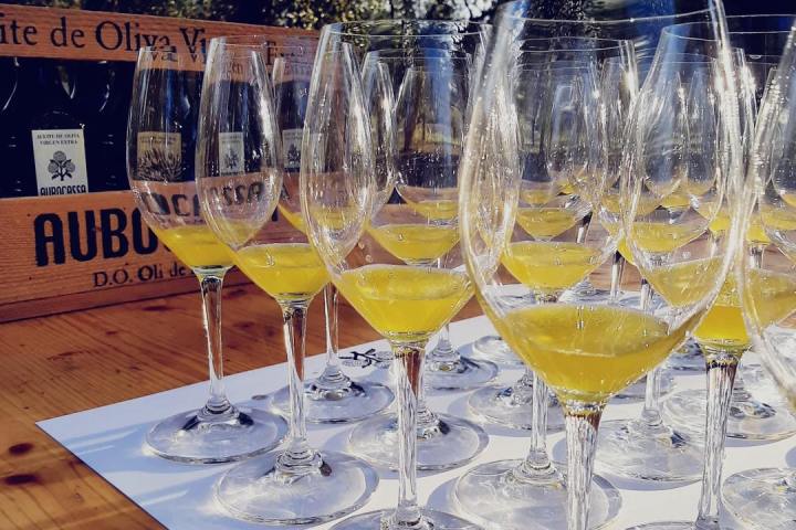 Mallorca Visit & Tasting Experience