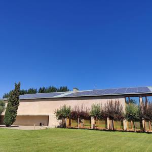 Navarra Guided Tour & Olive Oil Tasting Experience