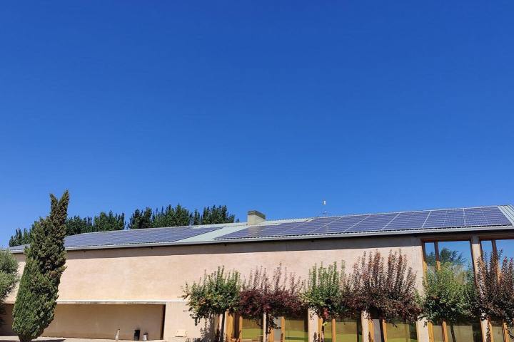 Navarra Guided Tour & Olive Oil Tasting Experience