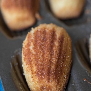 Paris Pasterie & Bread Experience