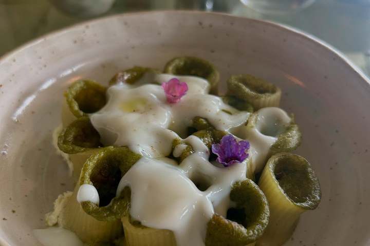 Pasta rolls with green sauce, cheese, and flowers on a plate.
