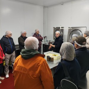 Aragon Olive Oil Visit & Tasting Experience