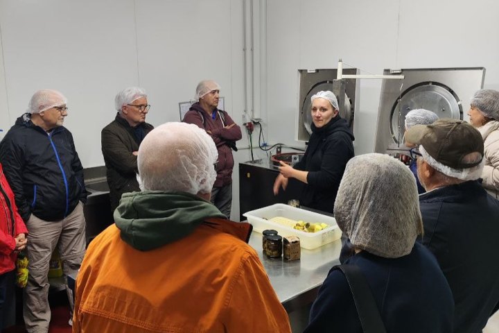 Aragon Olive Oil Visit & Tasting Experience
