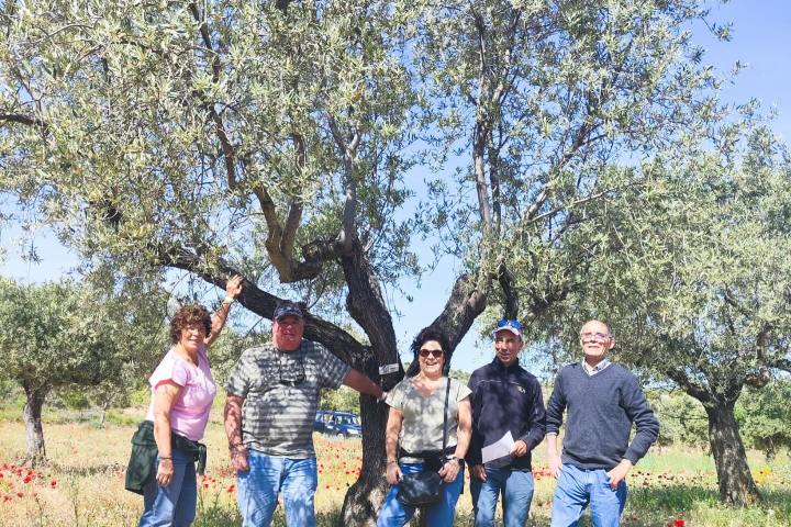 Aragon Olive Oil Visit & Tasting Experience
