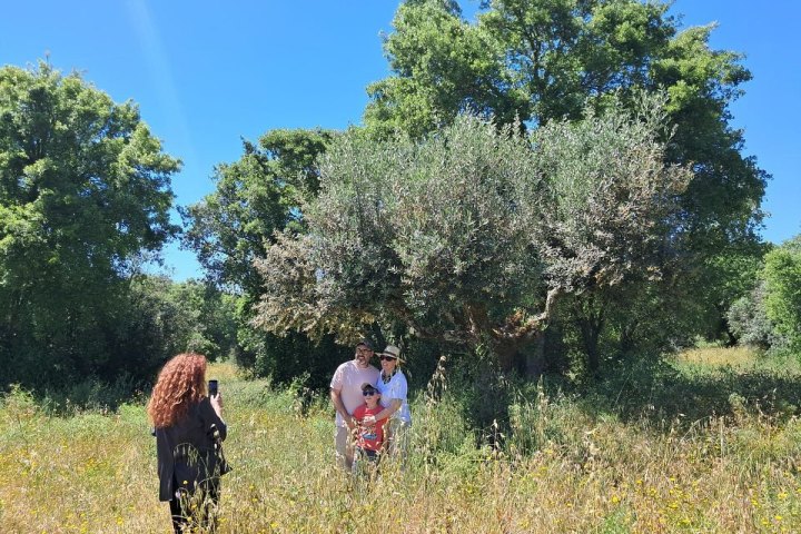 Aragon Olive Oil Visit & Tasting Experience