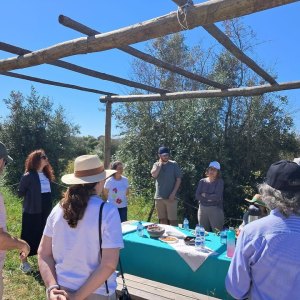 Aragon Olive Oil Visit & Tasting Experience