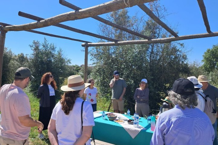 Aragon Olive Oil Visit & Tasting Experience