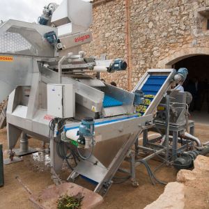 Mallorca Visit & Tasting Experience