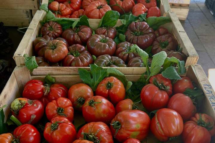 Nice Market Tour & Cooking Class Experience