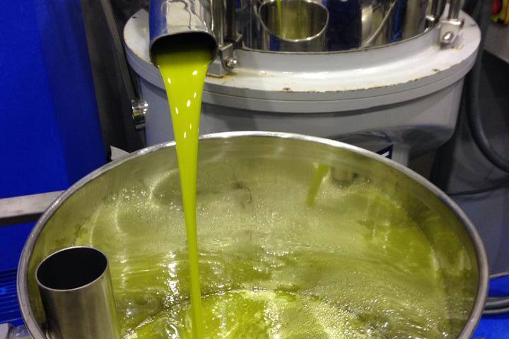 Navarra Guided Tour & Olive Oil Tasting Experience