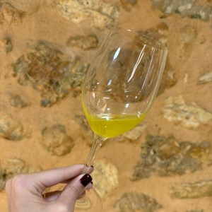 Mallorca Visit & Tasting Experience