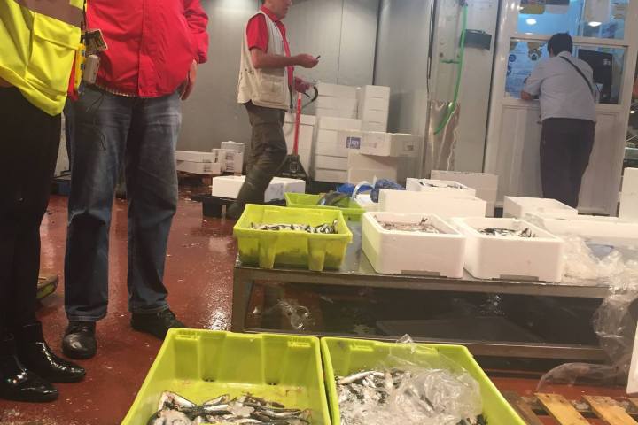 Madrid Paella Cooking Class Experience