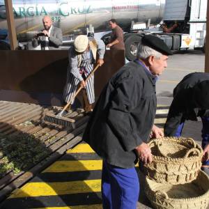 Madridejos EVOO Visit Experience